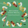 Untitled Virtual Ensemble - Birds of a Feather, Orchestral Works Vol. 1 - EP